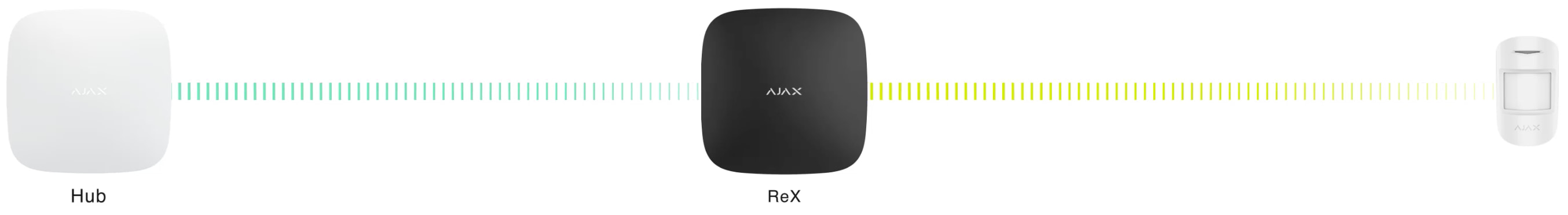 Ajax Rex White
