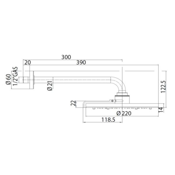 Верхний душ Bossini Tetis Nebulizair/2 220 мм с держателем, хром