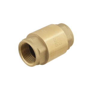 Обратный клапан Raftec 1″ ВВ, латунь