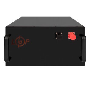 Аккумулятор LogicPower LiFePO4 51,2 V-230 Ah (11776Wh)