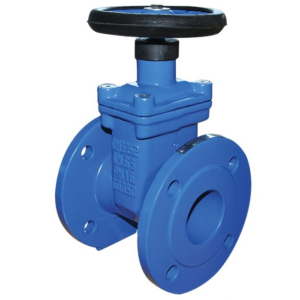 Задвижка Brandoni 20E900 PN 16 Ду 50 фланцевая, чугун (20E900I050V16EEA/B)