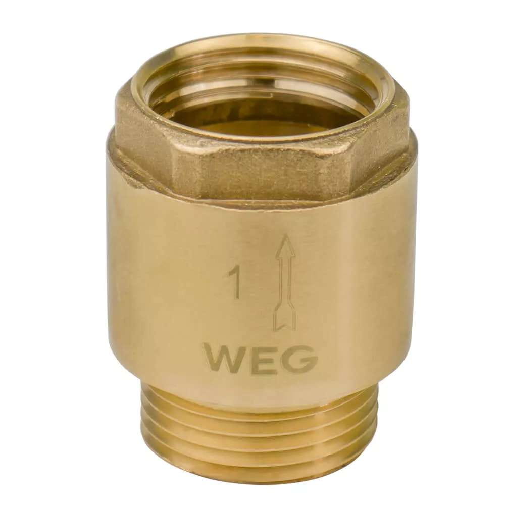 SQ-1039000_0 Обратный клапан WEG 1″ ВН латунь