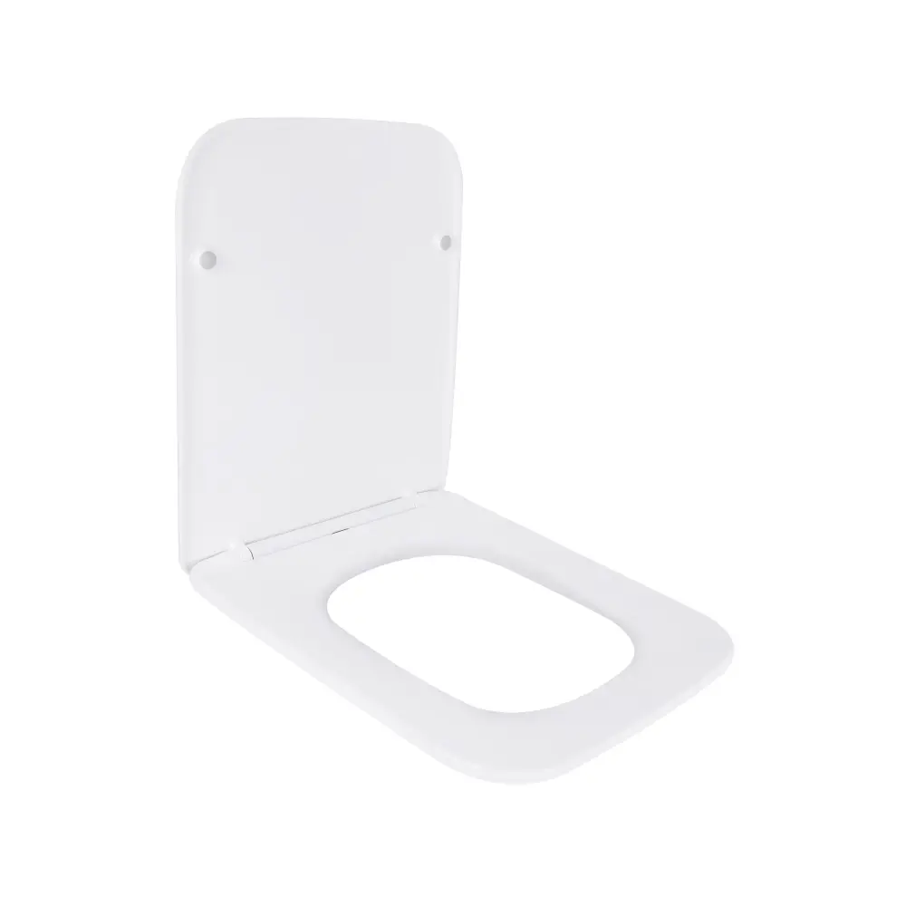 SD00046073_2 Сиденье для унитаза Qtap Tern с микролифтом