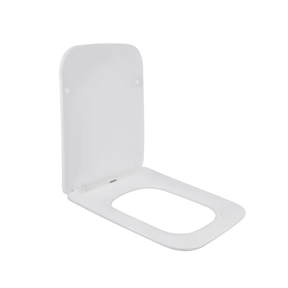 SD00049380_2 Сиденье для унитаза Qtap Kalao с микролифтом