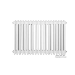 Дизайнерский радиатор Rastas Claudia 3 600x785 горизонтальный, белый матовый (RR-CL03-600785W)
