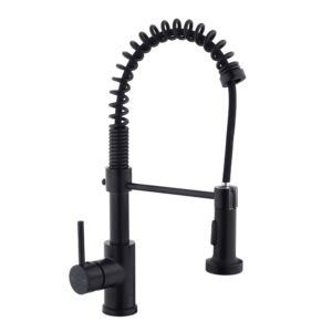 Смеситель для кухни Perla Henry однорычажный, черный