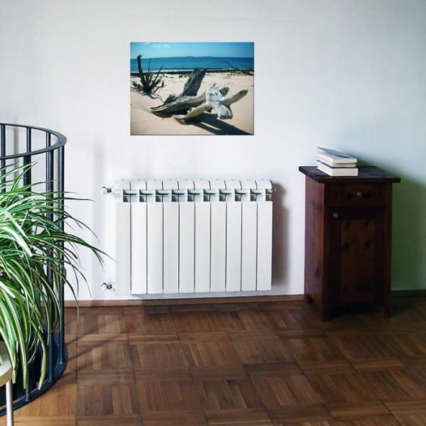 global-style-plus-3-600x600