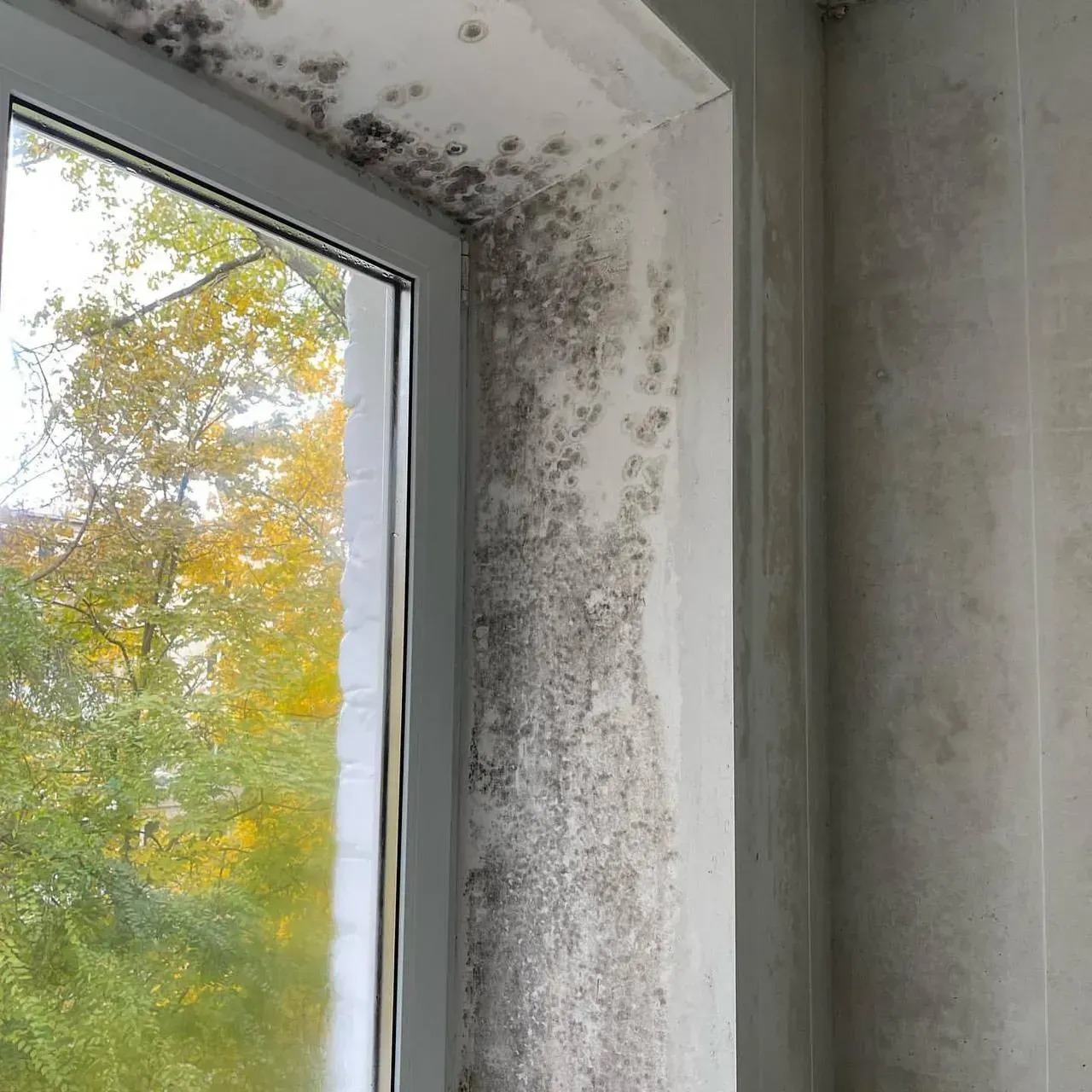 stop-mold-zasib-vid-plisniavy-80504259063035.jpg
